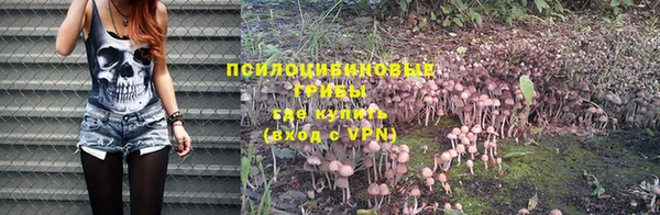 дурь Касимов
