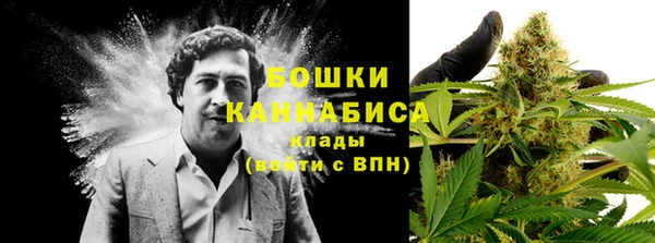 дурь Касимов