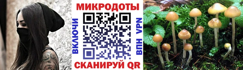 Галлюциногенные грибы GOLDEN TEACHER Купить где Дорогобуж
